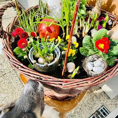 펜션 Sausalblick Großklein