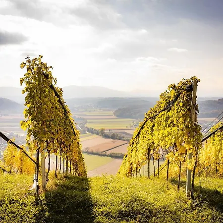 Sausalblick בית נופש