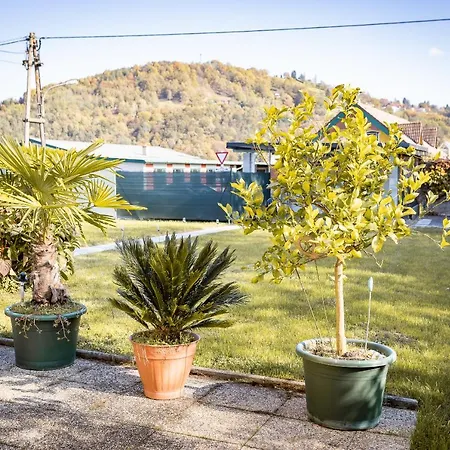 Sausalblick בית נופש *