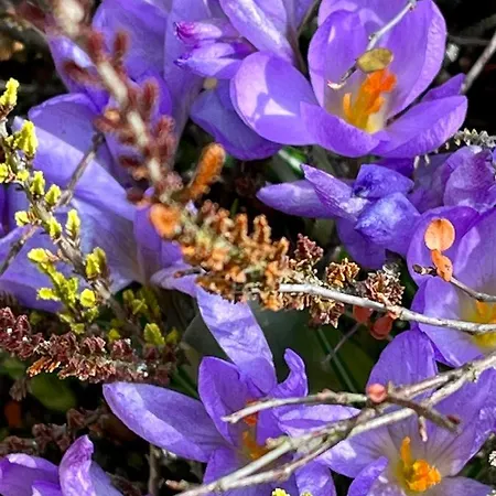 Casa vacanze Sausalblick *