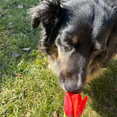 Sausalblick 펜션 Großklein