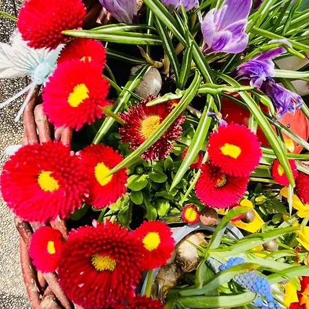 Casa vacanze Sausalblick *