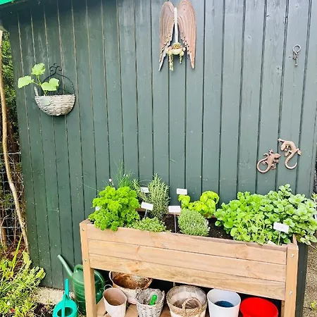 Sausalblick * Großklein