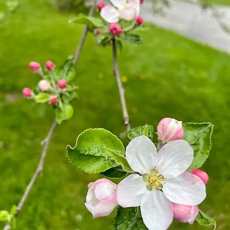 בית נופש Sausalblick