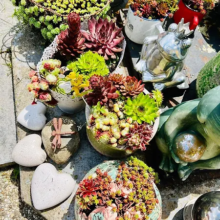 Sausalblick * Großklein