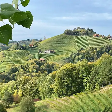 Sausalblick * Großklein