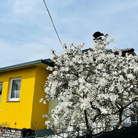 Sausalblick * Großklein