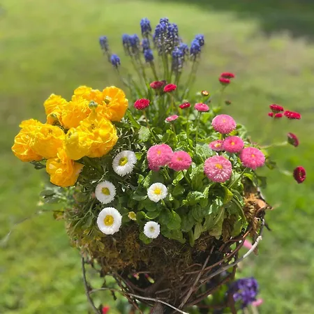 Sausalblick בית נופש *