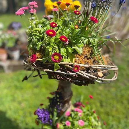 Sausalblick 펜션 Großklein