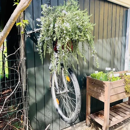 בית נופש Sausalblick Großklein