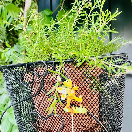 Sausalblick בית נופש