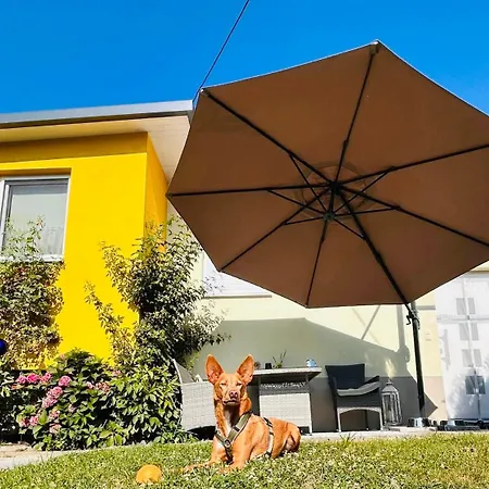 Sausalblick Großklein