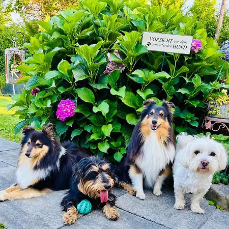 Sausalblick Großklein