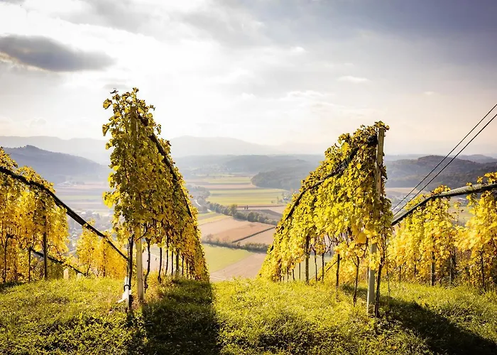 Sausalblick 度假居