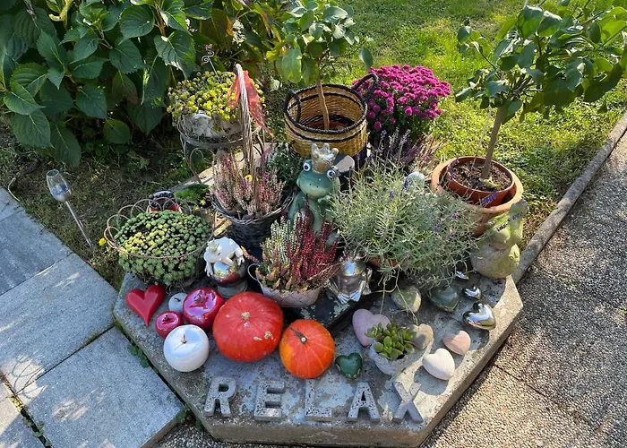 Sausalblick 度假居 *