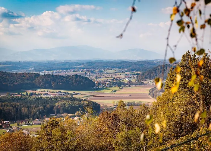 Sausalblick 度假居 *