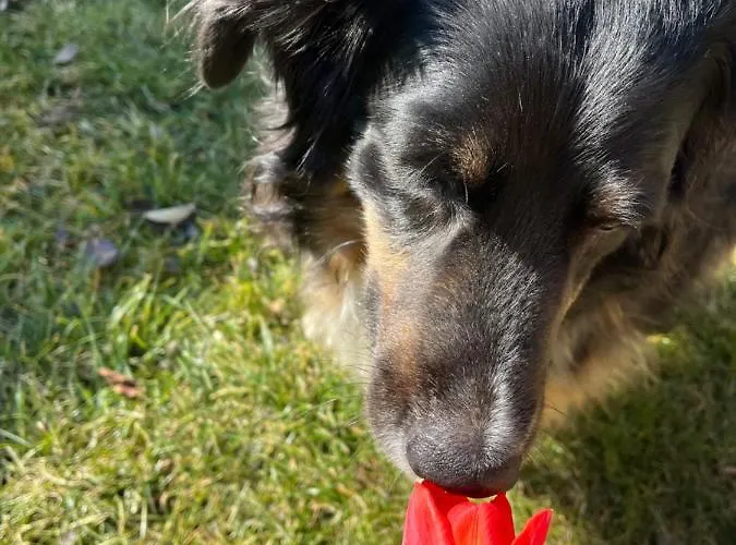 Sausalblick 度假居 Großklein