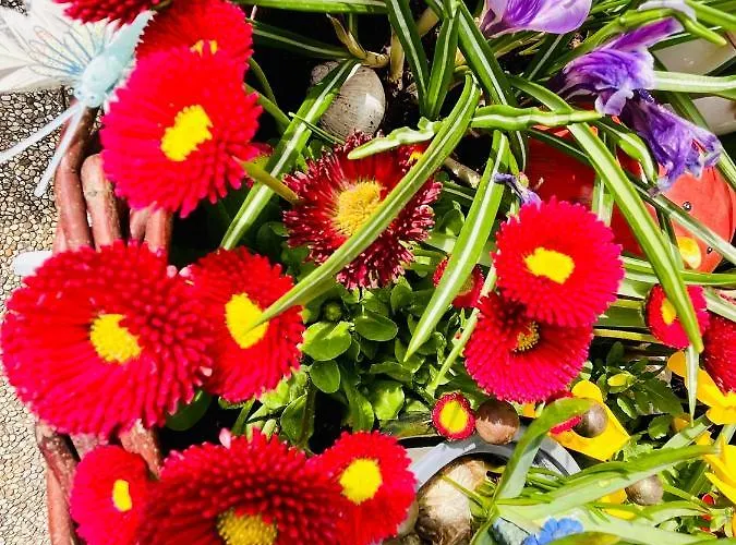 Vakantiehuis Sausalblick *