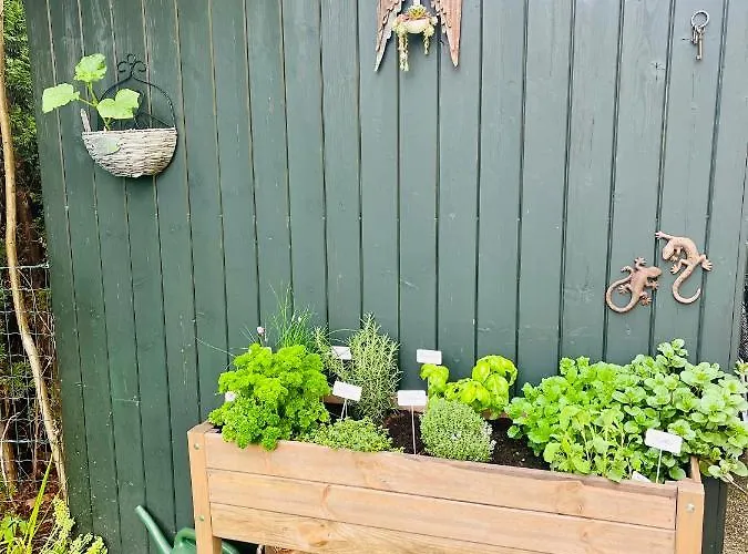 Sausalblick * Großklein