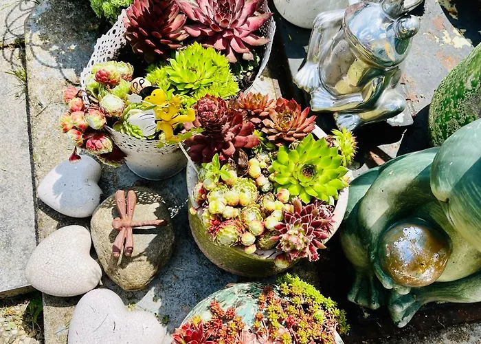 Sausalblick * Großklein