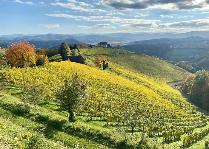 Sausalblick Vakantiehuis *