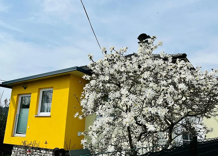 Sausalblick * Großklein