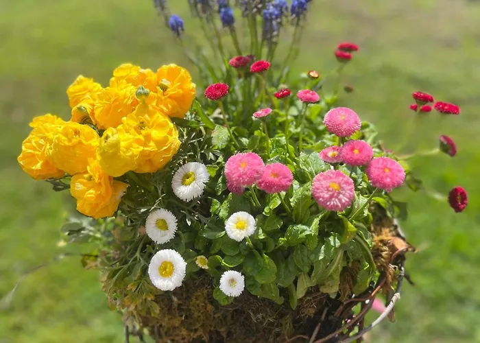 Sausalblick Vakantiehuis *