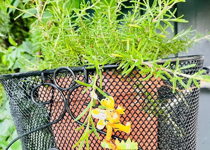 Sausalblick 度假居