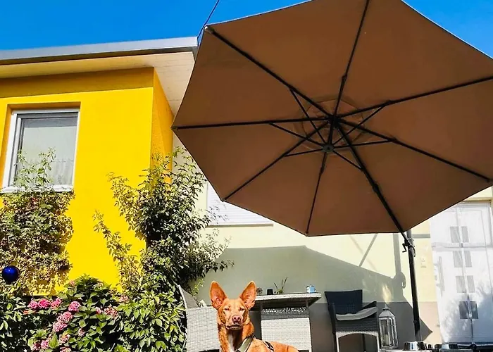 Sausalblick Großklein