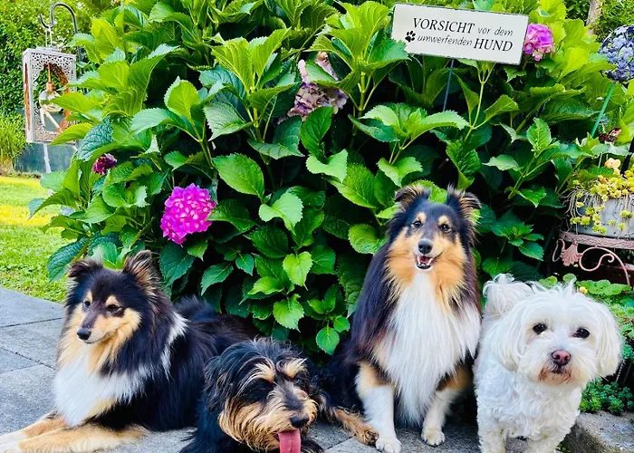 Sausalblick Großklein